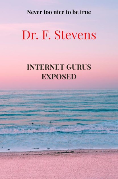 Internet gurus exposed, Franky Stevens - Paperback - 9789464059465