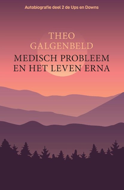 Medisch probleem en het leven erna., Theo Galgenbeld - Paperback - 9789464066371