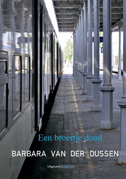 Een broertje dood, Barbara van der Dussen - Paperback - 9789464066876