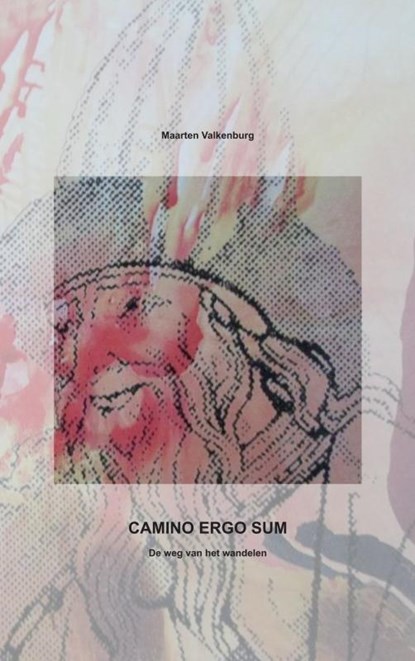 CAMINO ERGO SUM, Maarten Valkenburg - Paperback - 9789464183047