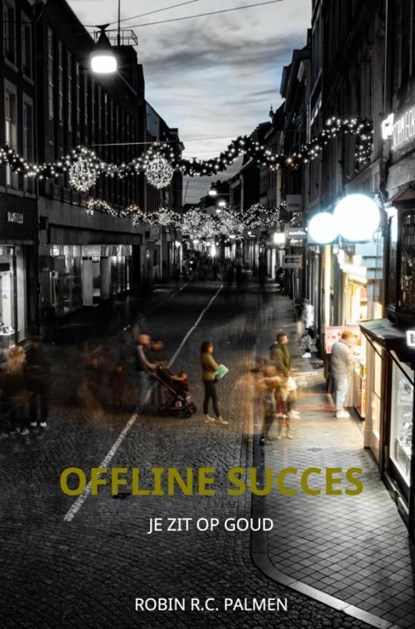 Offline Succes, Robin R.C. Palmen - Gebonden - 9789464184556