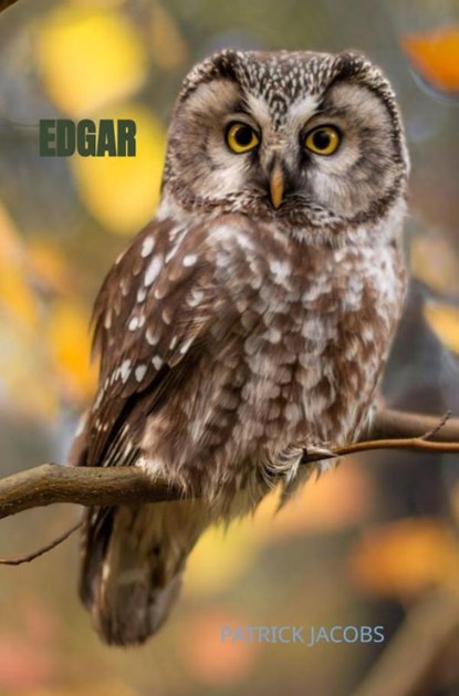 EDGAR, Patrick Jacobs Jacobs - Paperback - 9789464185201