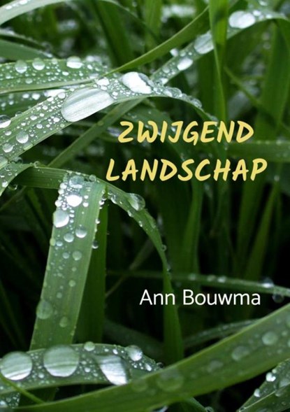 Zwijgend landschap, Ann Bouwma - Paperback - 9789464189193