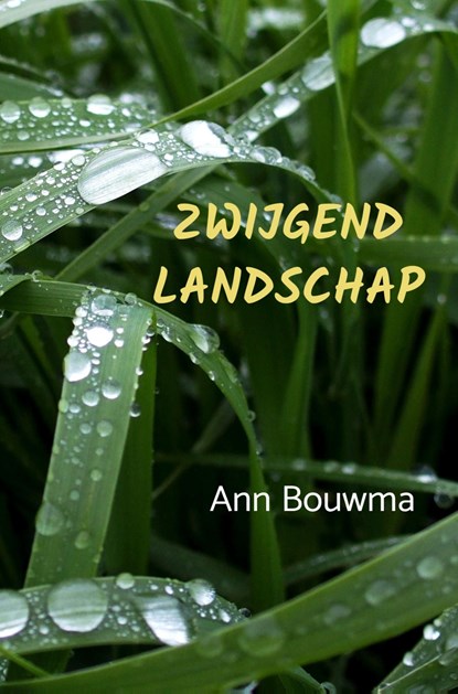Zwijgend Landschap, Ann Bouwma - Ebook - 9789464189919
