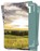Reflect 2, Mieke Vanraes ; Hilde Van den Steen - Paperback - 9789464205114