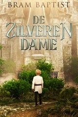De Zilveren Dame - Bram Baptist - 9789464208580
