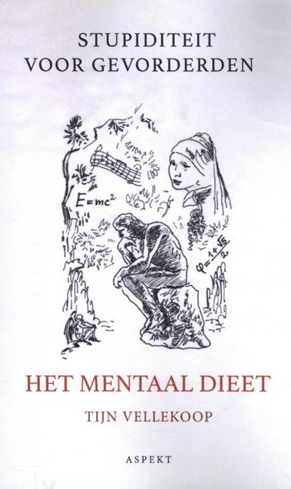 Het Mentaal dieet, Tijn Vellekoop - Paperback - 9789464240184