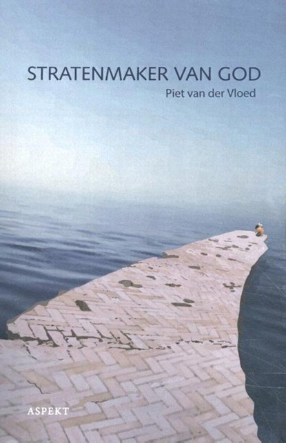 Stratenmaker van god, Piet van der Vloed - Ebook - 9789464241921