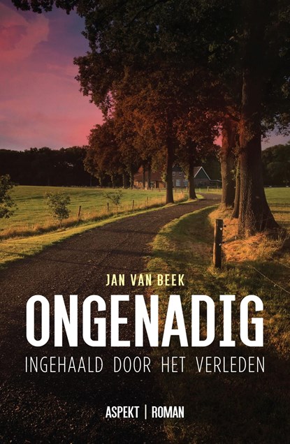 Ongenadig, Jan van Beek - Ebook - 9789464241983