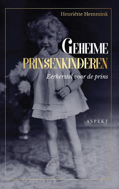 Geheime prinskinderen, Henriette Hemmink - Ebook - 9789464242478