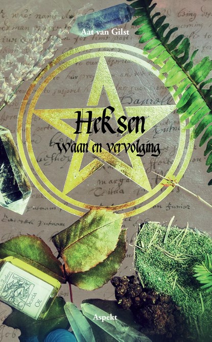 Heksen Waan en vervolging, Aat van Gilst - Ebook - 9789464244267