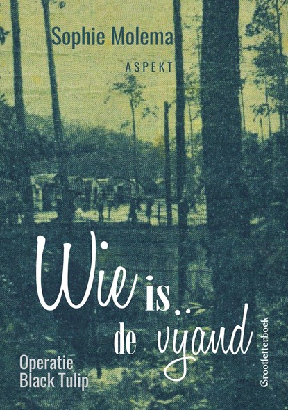 Wie is de vijand, Sophie Molema - Ebook - 9789464245462
