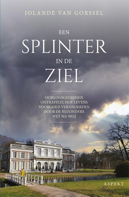 Een splinter in de ziel, Jolande van Gorssel - Paperback - 9789464247053