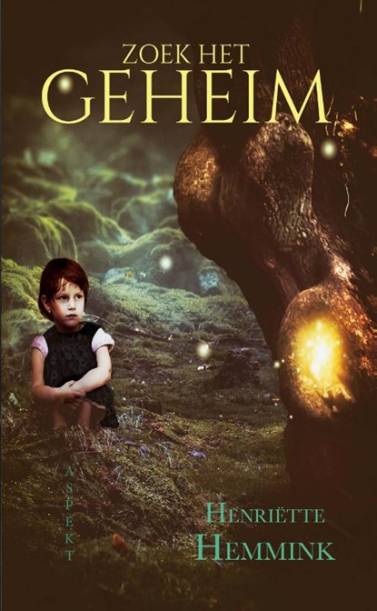 Zoek het geheim, Henriëtte Hemmink - Paperback - 9789464248593