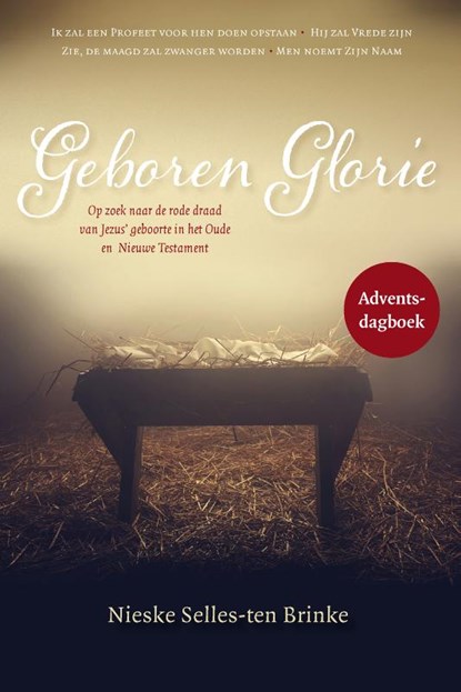 Geboren Glorie, Nieske Selles-ten Brinke - Paperback - 9789464250145