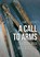 A call to arms, Anne Lehoërff - Paperback - 9789464261042