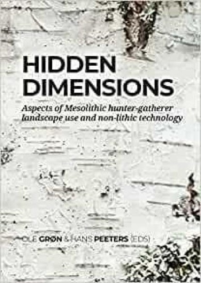 Hidden dimensions, niet bekend - Gebonden - 9789464261264