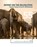 Intent on the Paleolithic, niet bekend - Gebonden - 9789464263831