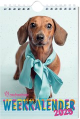 Rachael Hale weekkalender 2025 - Interstat - 9789464327335