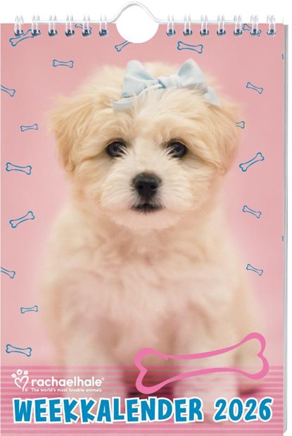 Rachael Hale Honden weekkalender - 2026, Rachael Hale - Gebonden - 9789464328578