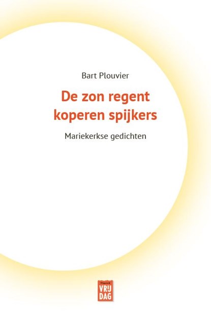 De zon regent koperen spijkers, Bart Plouvier - Ebook - 9789464340112