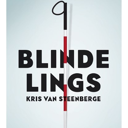 Blindelings, Kris Van Steenberge - Luisterboek MP3 - 9789464340327