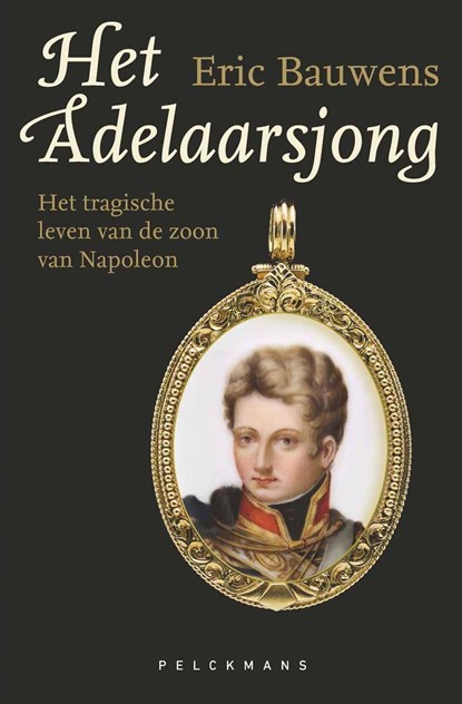 Het adelaarsjong, Eric Bauwens - Ebook - 9789464340747