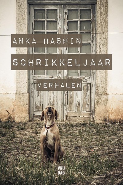 Schrikkeljaar, Anka Hashin - Ebook - 9789464341348