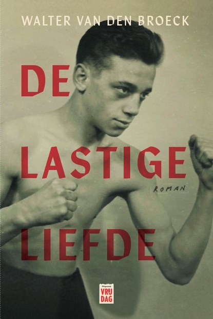 De lastige liefde, Walter Van den Broeck - Paperback - 9789464341652