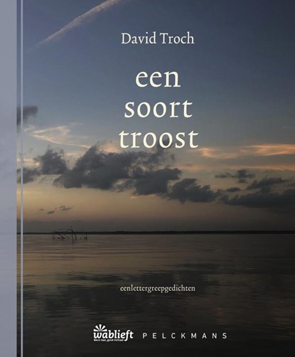 een soort troost, David Troch - Paperback - 9789464342376