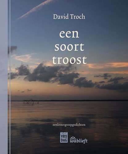 een soort troost, David Troch - Paperback - 9789464342376