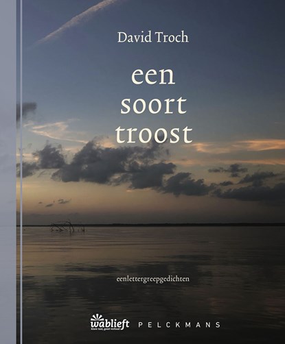 een soort troost, David Troch - Ebook - 9789464342383