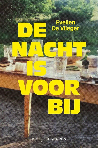 De nacht is voorbij, Evelien de Vlieger - Ebook - 9789464342772