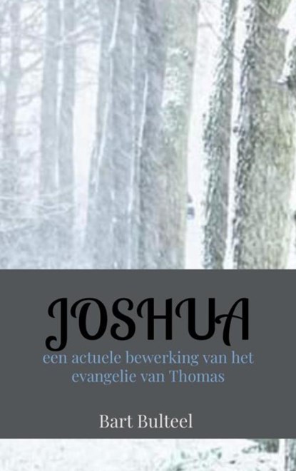 JOSHUA, Bart Bulteel - Paperback - 9789464350494