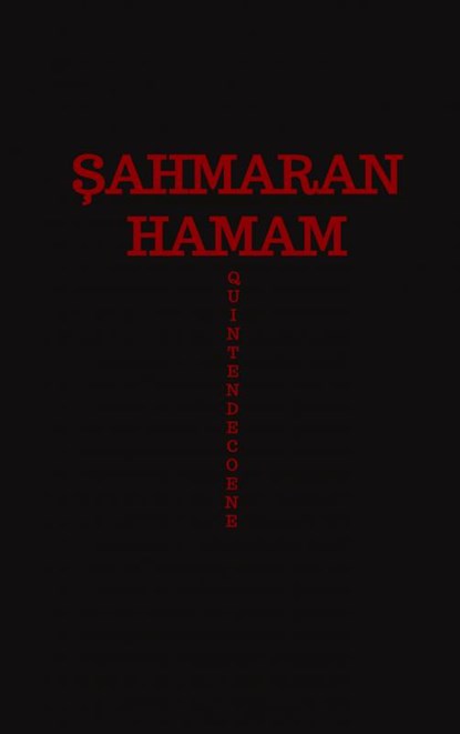 Şahmaran Hamam, Quinten De Coene - Paperback - 9789464351040
