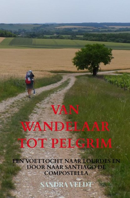 VAN WANDELAAR TOT PELGRIM, Sandra Veldt - Paperback - 9789464351309