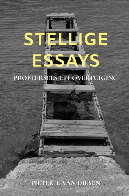 Stellige essays, Pieter T. Van Diesen - Gebonden - 9789464352979