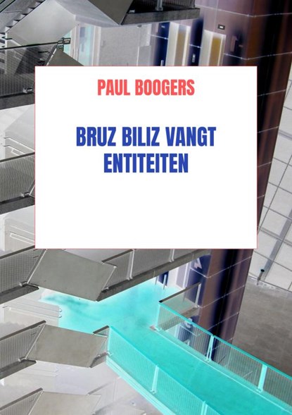 Bruz Biliz vangt entiteiten, Paul Boogers - Paperback - 9789464354409
