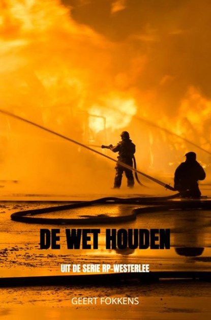 De Wet Houden, Geert Fokkens - Paperback - 9789464355093