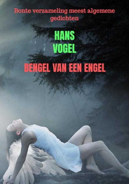 Bengel van een engel, Hans Vogel - Paperback - 9789464357325