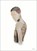 Strook, Strook De Croock ; Thijs Demeulemeester - Gebonden - 9789464366037