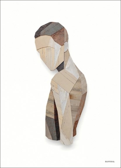 Strook, Strook De Croock ; Thijs Demeulemeester - Gebonden - 9789464366037