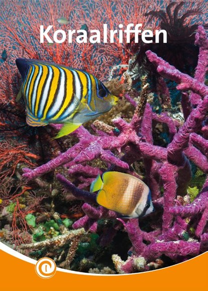 Koraalriffen, Geert-Jan Roebers - Gebonden - 9789464390797