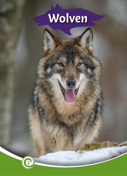 Wolven, Geert-Jan Roebers - Gebonden - 9789464392029