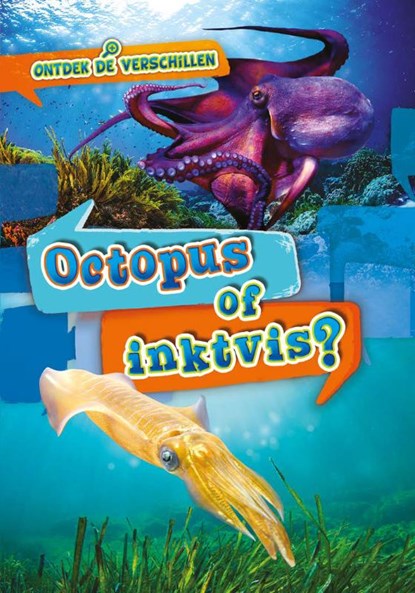 Octopus of inktvis?, Christina Leaf - Gebonden - 9789464392081