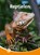 Reptielen, Bo Buijs - Gebonden - 9789464392210