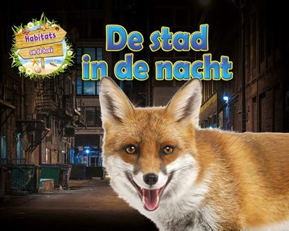 De stad in de nacht, Ruth Owen - Gebonden - 9789464393361