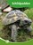 Schildpadden, Geert-Jan Roebers - Gebonden - 9789464395662