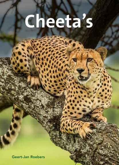 Cheeta's, Geert-Jan Roebers - Gebonden - 9789464397284