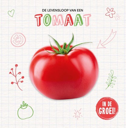 Tomaat, Kirsty Holmes - Gebonden - 9789464397406